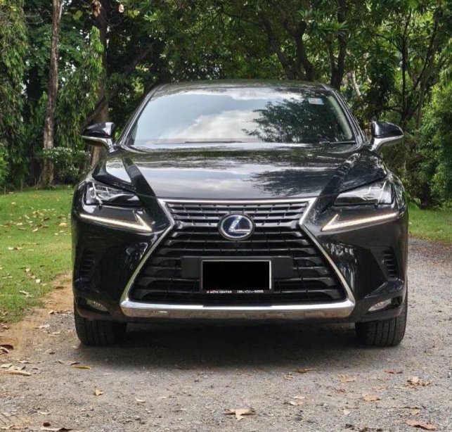 NX300H