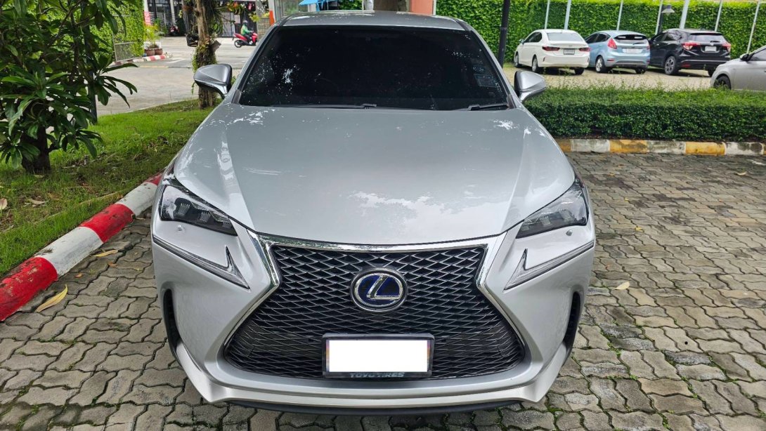 NX300h