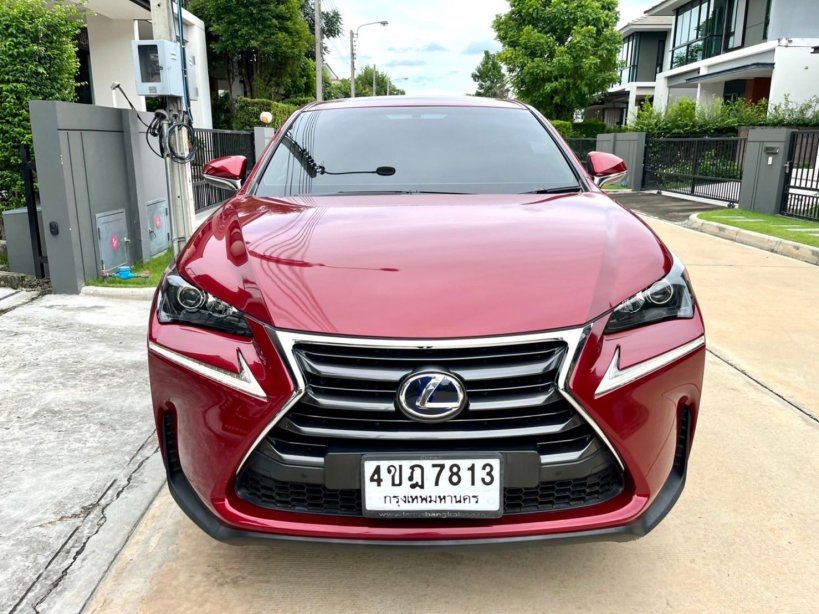 NX300h