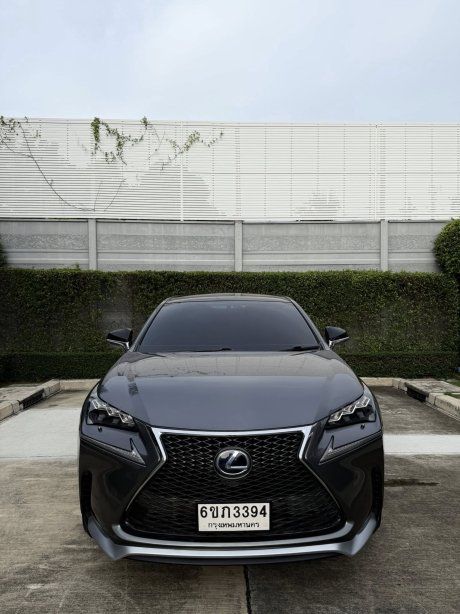 NX300h