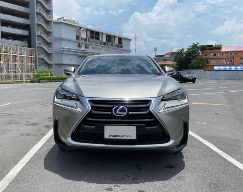 NX300h