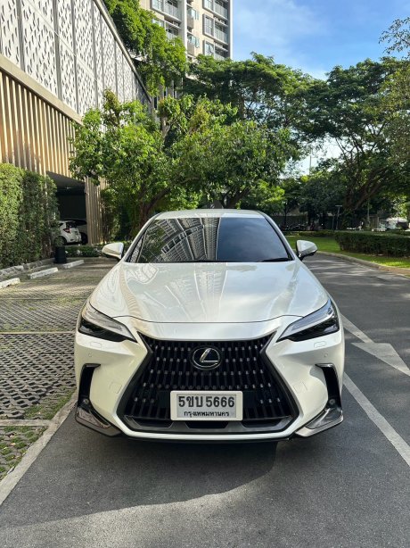 NX450h