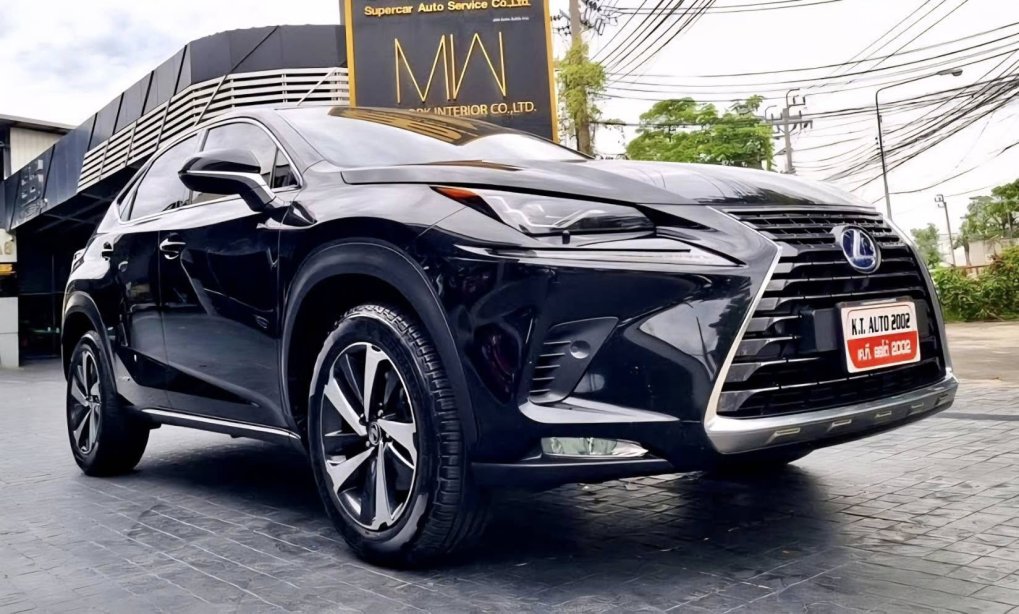 NX300h