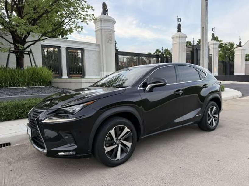 NX300h