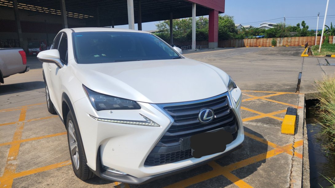 NX300h