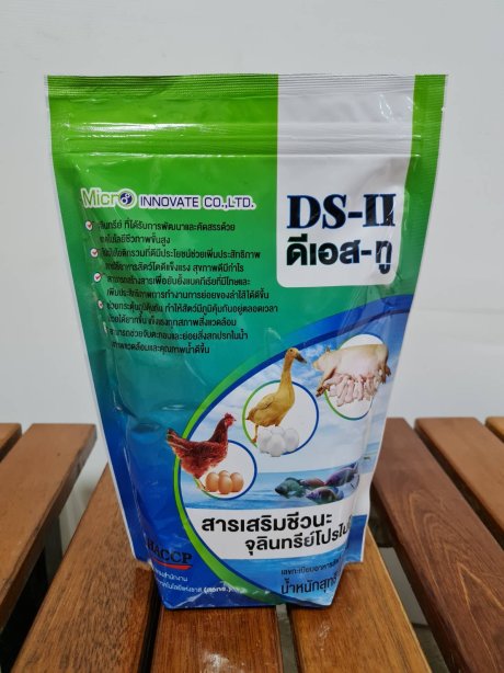 ดีเอส-ทู DS-II