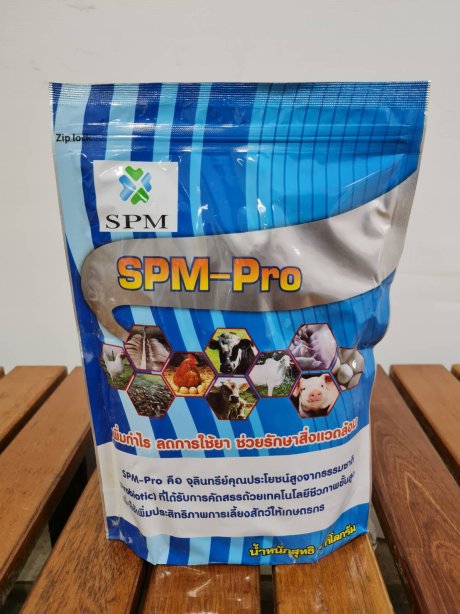 เอส พี เอ็ม-โปร SPM PRO