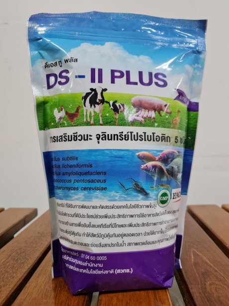 ดีเอส-ทูพลัส DS-II Plus