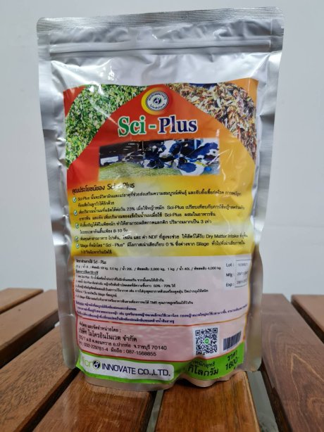 ซาย พลัส Sci – Plus