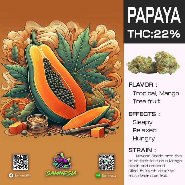 PAPAYA