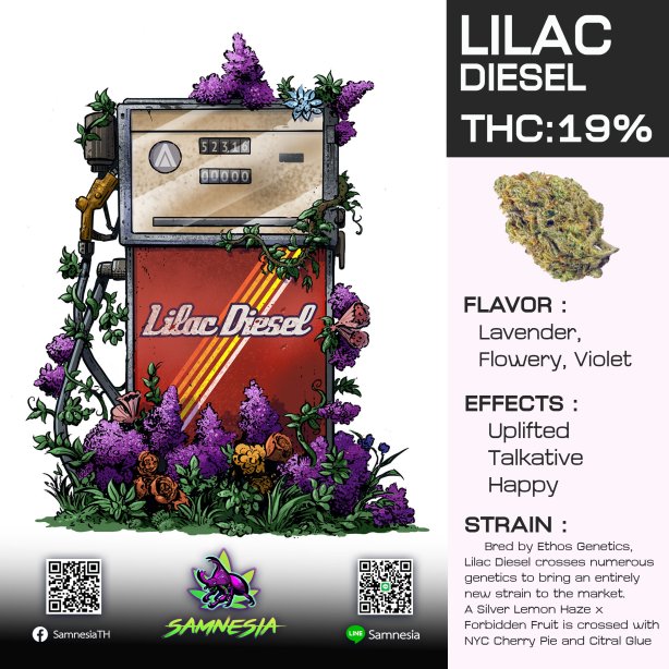 LILAC DIESEL