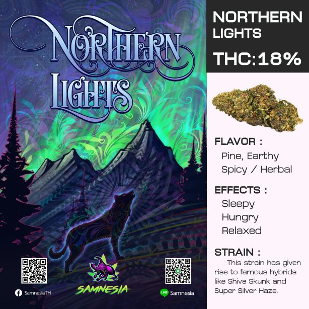NORTHERN LIGHTS