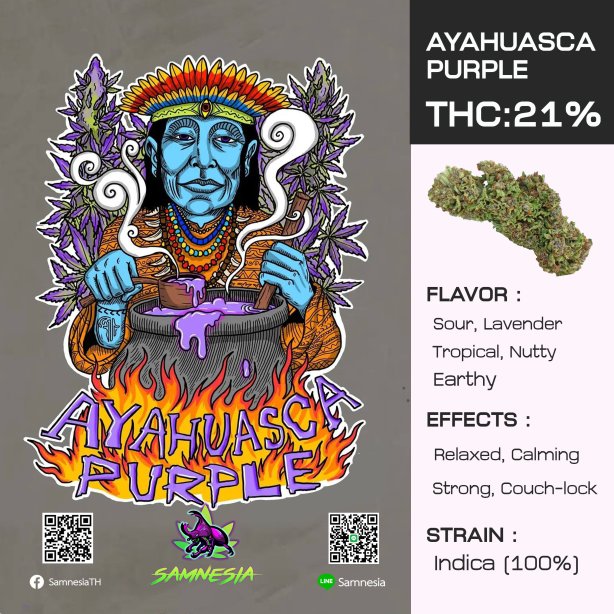 AYAHUASCA   PURPLE