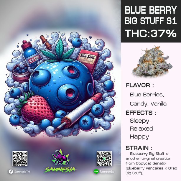BLUE BERRY BIG STUFF S1