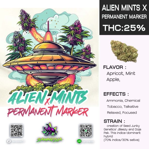 Alien Mints x Permanent Marker