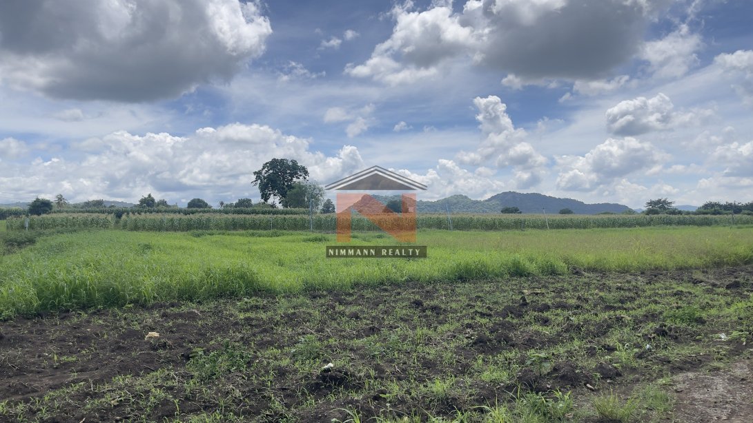 ที่ดินเปล่า 62 ไร่  อำเภอปากช่อง