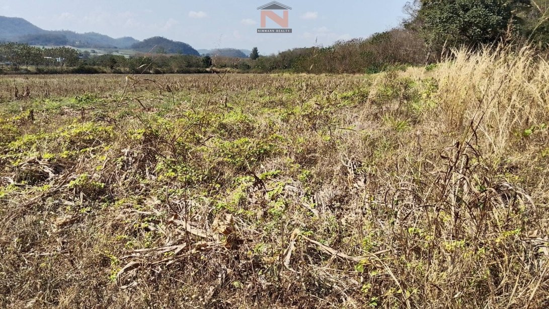 ที่ดินเปล่า 19-2-71 ไร่  อำเภอปากช่อง