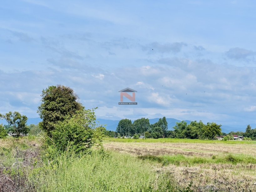 ที่ดินเปล่า  อำเภอบ้านนา จังหวัดนครนายก