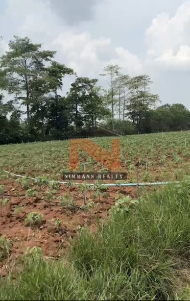 ที่ดินเปล่า 32 ไร่ ต.ขนงพระ อ.ปากช่อง จ.นครราชสีมา