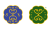 shop-logo