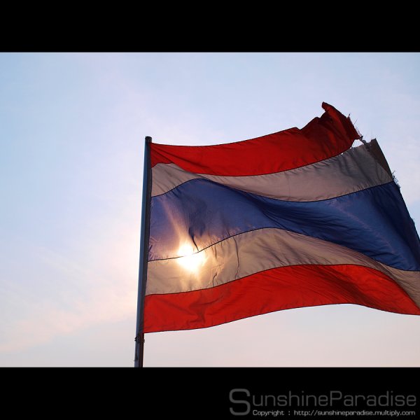 My Image 13