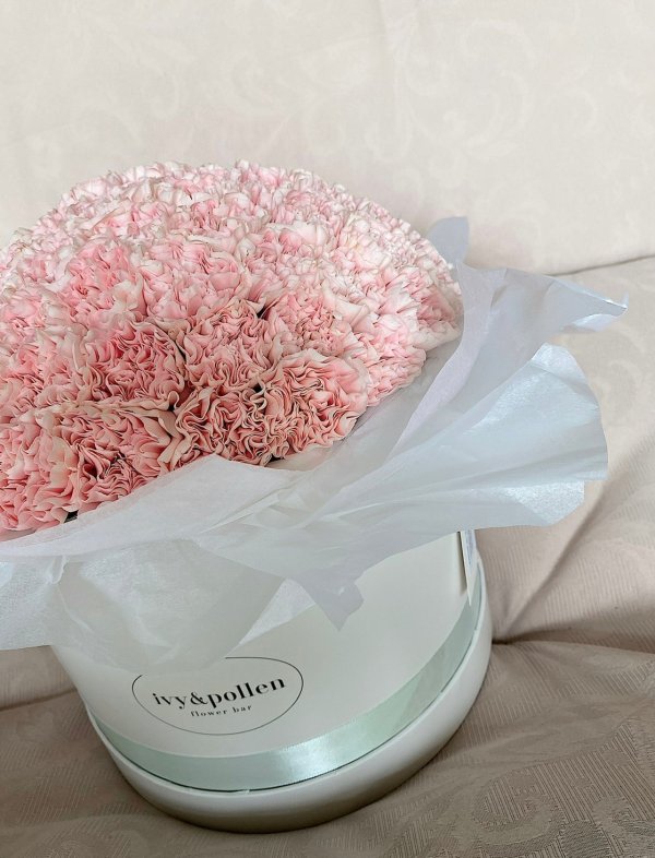 100 carnations pollen box ivyandpollen