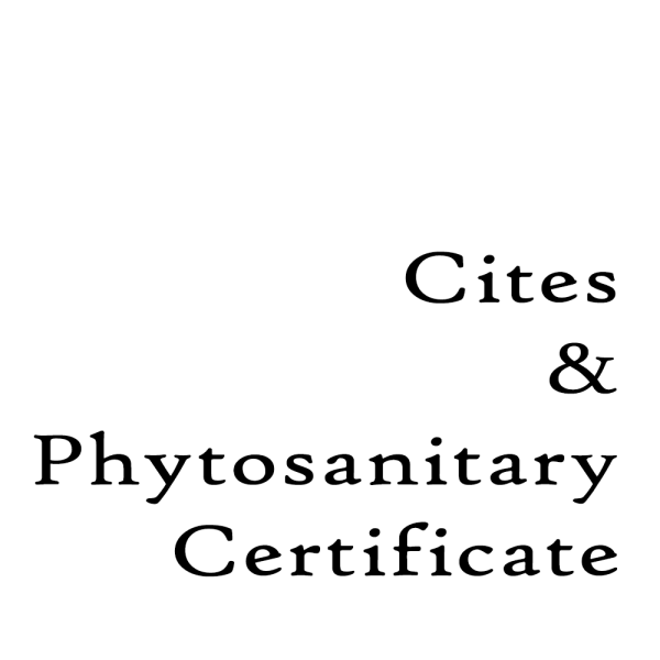 Cites and Phytosanitary Certificate  Tongcactus