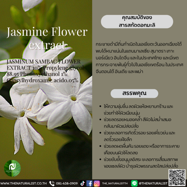 สารสกัดดอกมะลิ Jasmine Flower extract thenaturalist