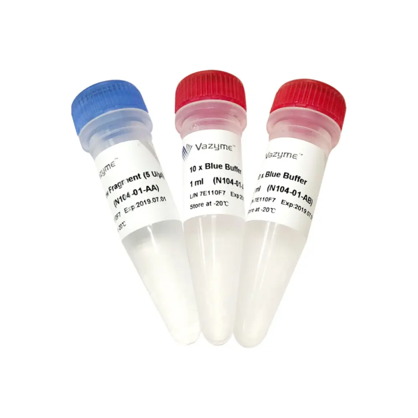 DNA Polymerase I Klenow Fragment N104-5,000 U - smartscience