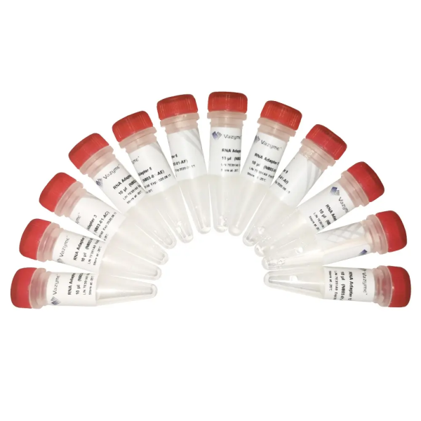 VAHTS RNA Adapters Set 1 / Set 2 for Illumina N804 smartscience