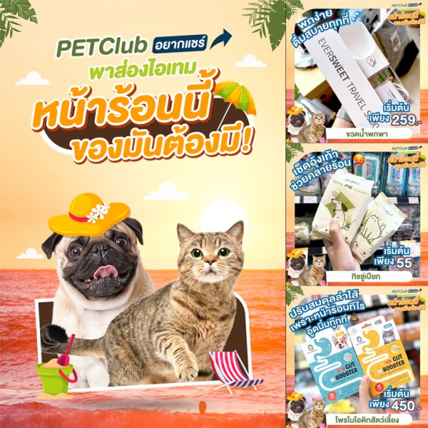 2023 Summer Essential - petclub