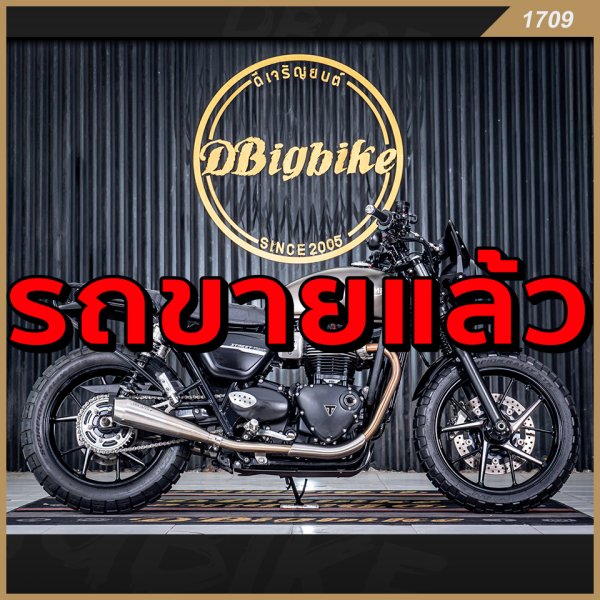 triumph street twin beginner bike