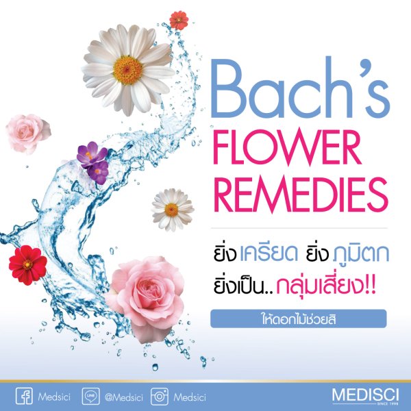 Bach’s Flower Remedies ผ่อนคลายเครียดด้วยวิถีดอกไม้บำบัด - Mediscicenter