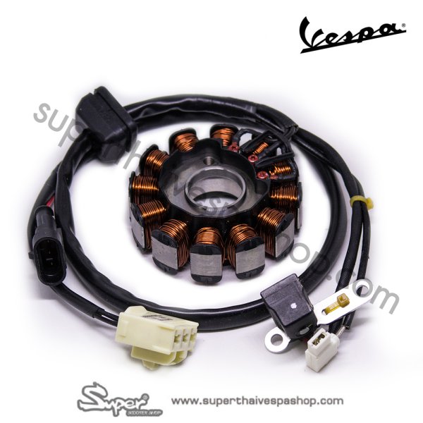 THE ORIGINAL STATOR PLATE (125 3V)