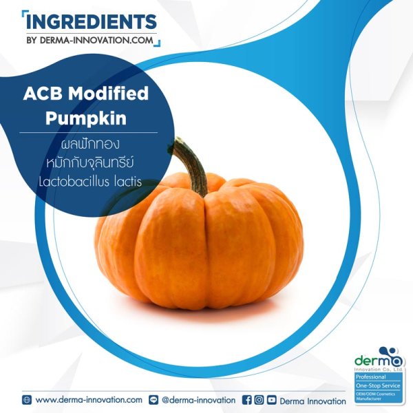Pumpkin Fruit Ferment Filtrate ประโยชน์ดีๆ ของสารสกัดจากผลฟักทองที่หมัก