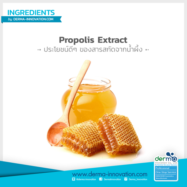 Propolis Extraction Methods Propolis Active Ingredients | Propolis extraction methods: a review – KVYOO