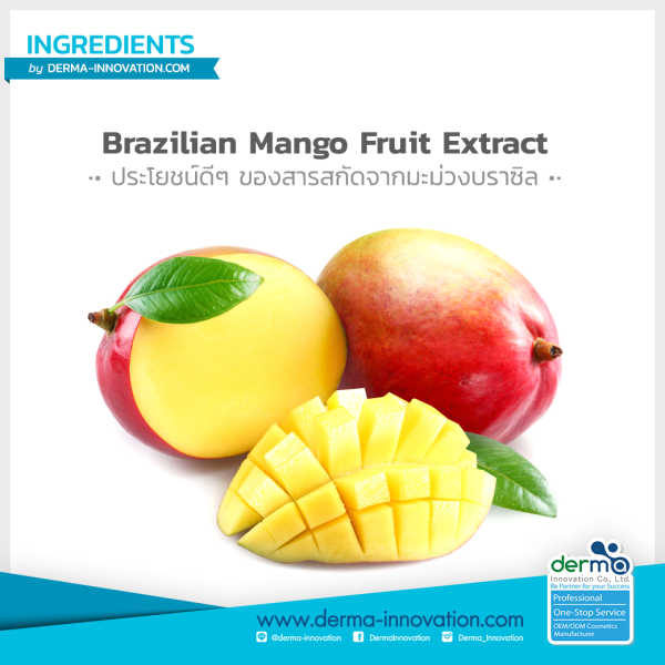 Mangifera Indica Fruit Extract dermainnovation