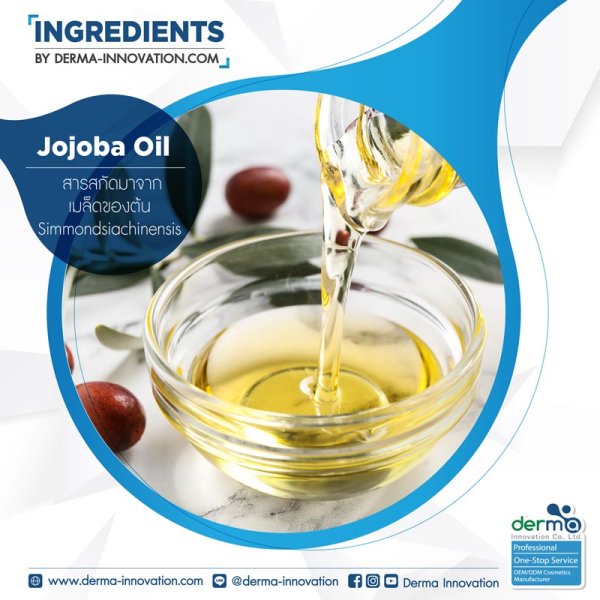 Simmondsia Chinensis (Jojoba) Seed Oil dermainnovation
