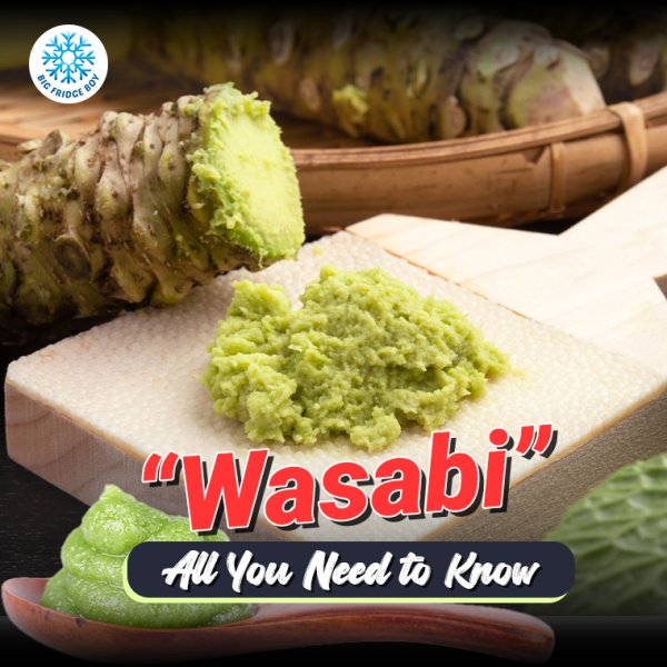 All You Need to Know About “Wasabi” bigfridgeboy