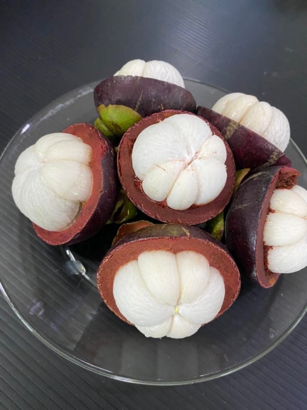 MANGOSTEEN - farmfreshfruitsthailand