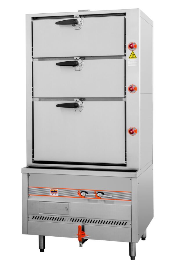 Chinese Steam somervillesiam