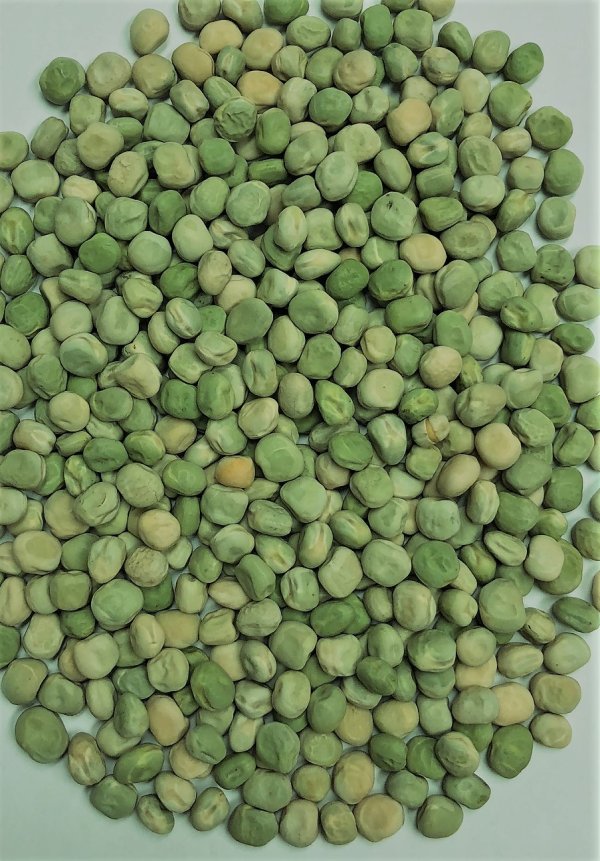 Marrowfat peas mingvilaiagroimportexport