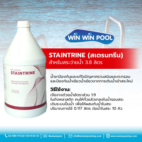 STAINTRINE Algaecides for Swimming Pools (3.8L)