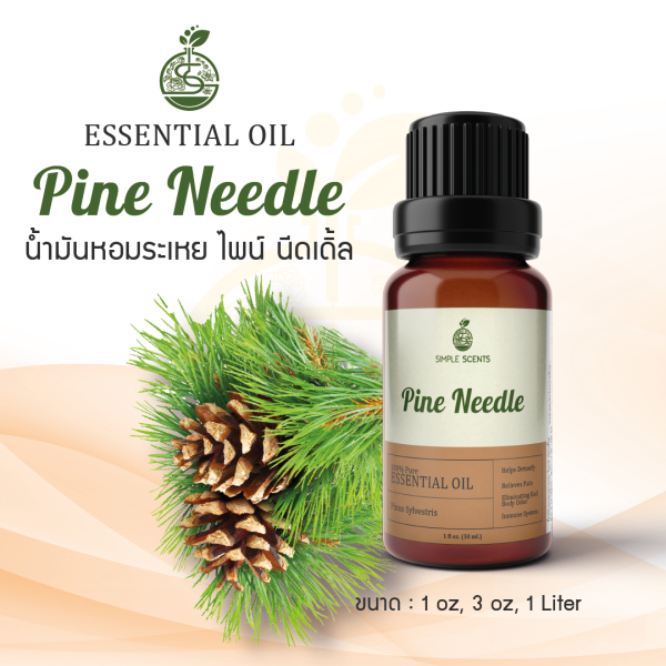 Pine Needle Essential Oil / น้ำมันหอมระเหย ไพน์ นีดเดิ้ล 1 oz