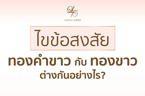 24 แร่ แพ ล ต ติ นั่ ม ราคา
10/2022
