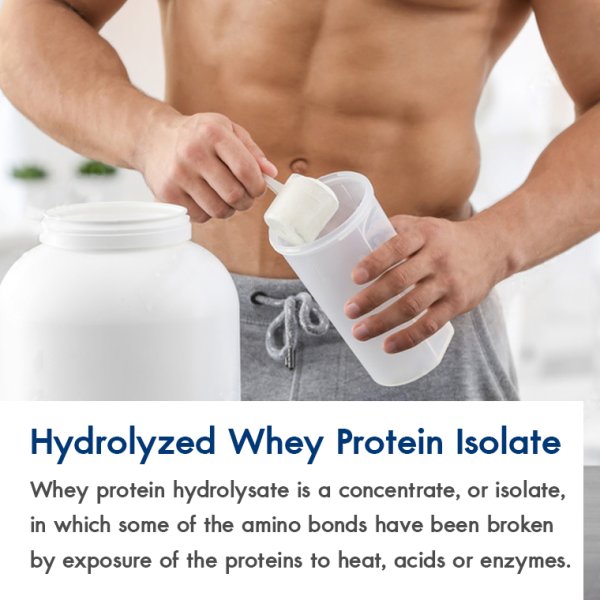 Hydrolyzed Whey Protein Isolate bkyfood