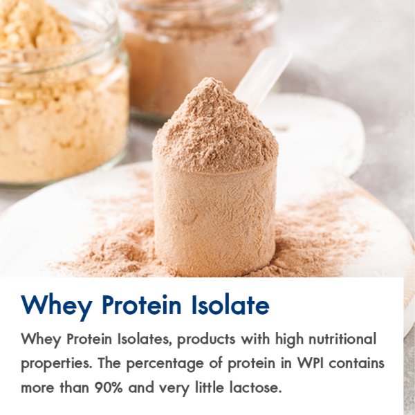 Whey Protein Isolate (Regular & Instantized) - Bkyfood