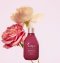 Jurlique Rosewater Balancing Mist รุ่น Exclusive Edition รวมพลังจากดอกกุหลาบ 5 สายพันธุ์มาไว้ในขวดเดียว 