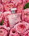 ราล์ฟ ลอเรน เฟรแกรนซ์ส (Ralph Lauren Fragrances) ขอแนะนำ Romance Rose’