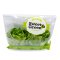 salad vegetable butterhead